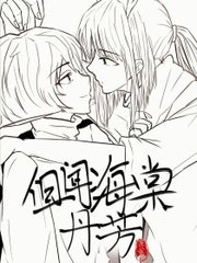 深入了解 大象电脑网页版